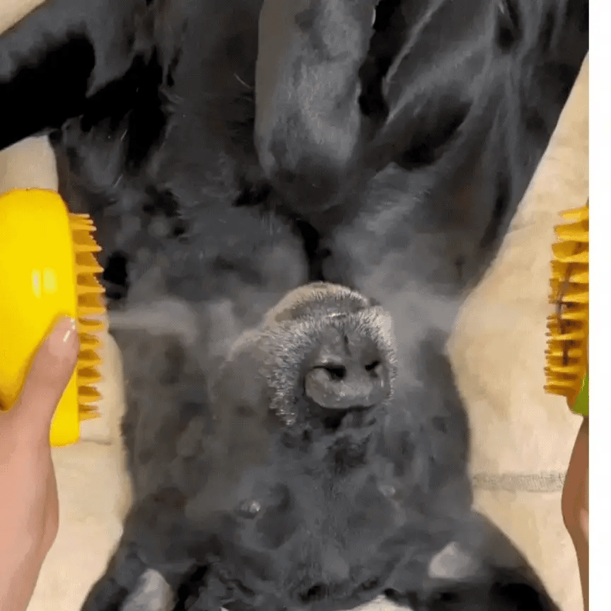 Cepillo Para Mascota Vapor 3 En 1